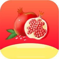 野花在线观看免费视频