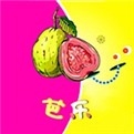 原来新神马电影软件下载地址