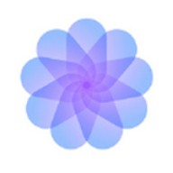 palipali2轻量版官方入口